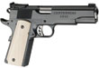 New Handguns for 2011