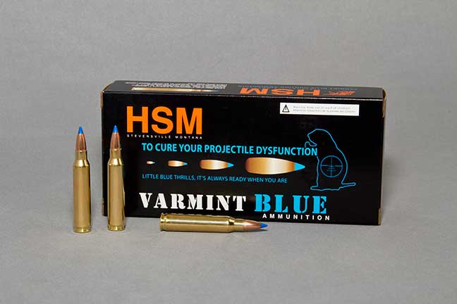 HSM-new-VB-IMG1327-ammo