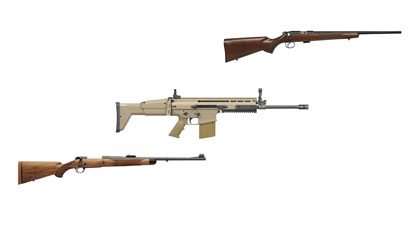 New Rifles 2010