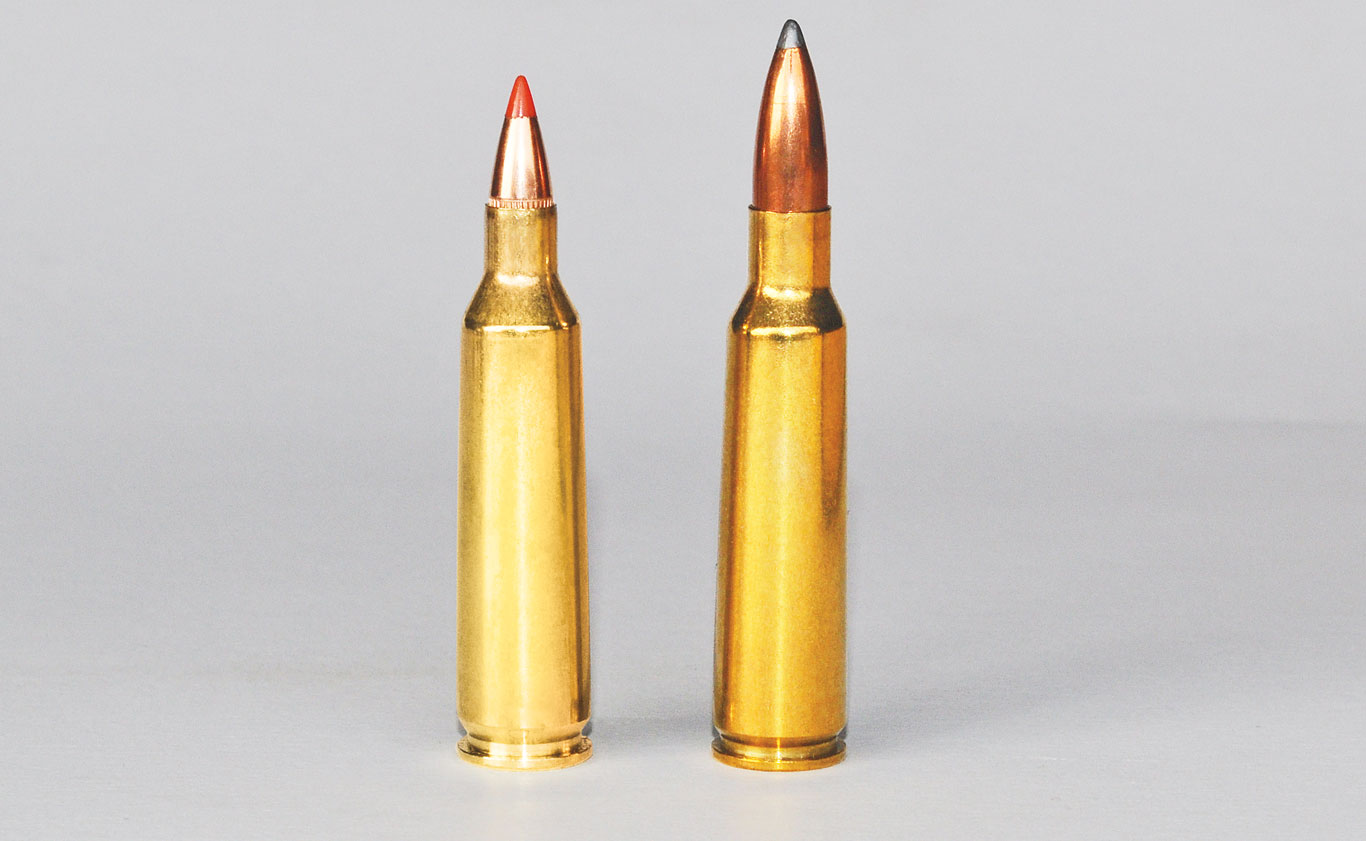 .22-250 Remington and .250 Savage